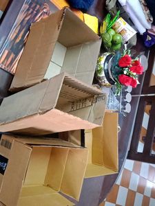 🌺15cardboard boxes &amp; 5 Xpress bees shipping label
