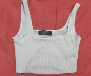 Sea Green Ribbed Crop Top🐸