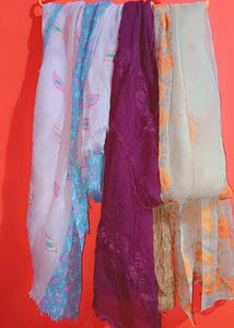 3 Stunning Dupattas
