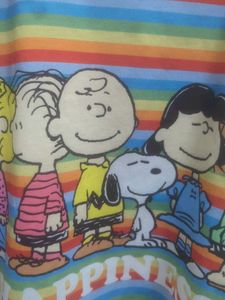 Snoopy Rainbow Crop Top