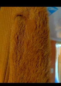 Woolen Brownish Musturd A-Line Dress