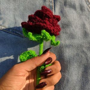 Cute Rose Flower