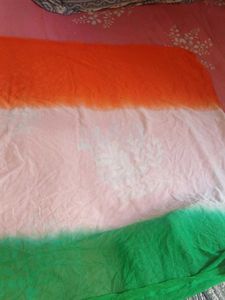 Tricolor Duppatta