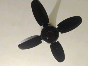 FORTUNER Ceiling Fan