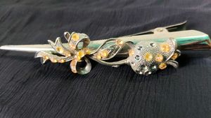 Hair Clips &amp; Bangles – ₹69 per Piece