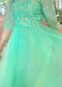 Mint Green Embellished Gown