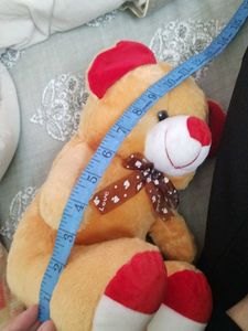 Cute Teddy Bear