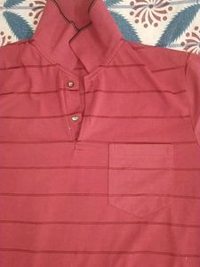 Striped Maroon Polo T-shirt