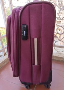 VIP small Suitcase - CASH ONLY