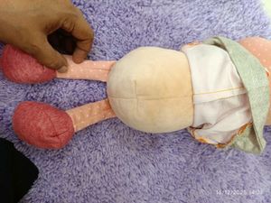 Cute Pig Plush Toy