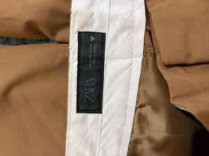 Zara pleated trouser