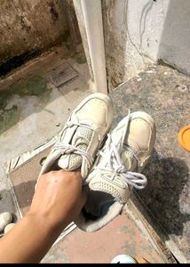 unisex Casual Sneakers