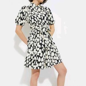 Patterned Mini Dress with Belt