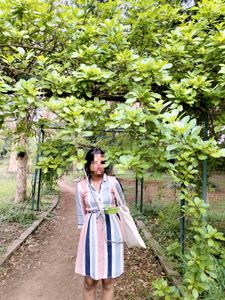 Striped Collared Dress