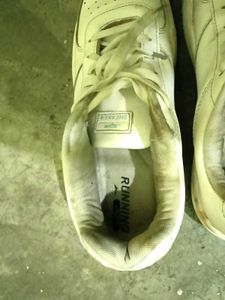 Classic White Sneakers