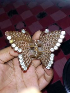 combo of 2 ppElegant Butterfly Clature