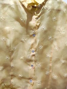 Yellow Embroidered Silk Top