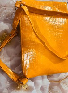Fancy Sling Bags