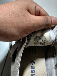 Converse All Star Sneakers