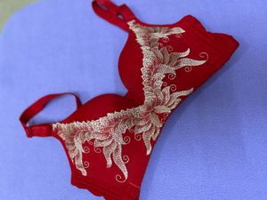 Red Bra with Embroidery