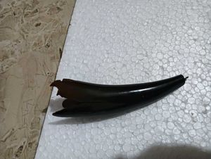 Horn art 70 years old antique treasure