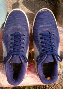 Blue Lace-Up Casual Sneakers