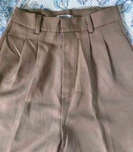 Stylish Pleated Taupe Pants