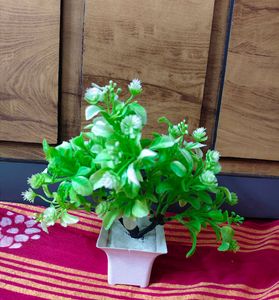 Artificial Green Plant with White Flowers