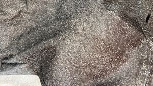 Sparkly Party Dress