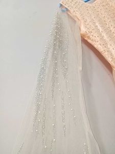 Elegant Ethnic Gown