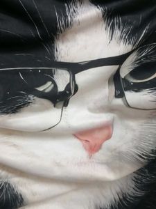 Cat Face Graphic T-Shirt