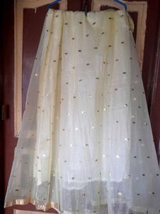 Dress With Ghaghra And Dupatta