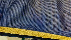 Elegant Royal blue net saree golden embroidery