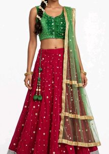 Embellished Lehenga Choli Set