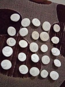 Gomti Chakra 1 Pcs In 80 Coin