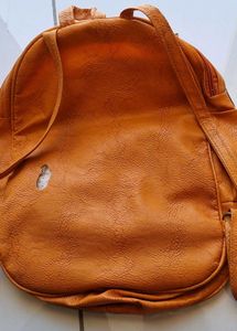Brown Backpack