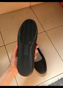 Black Bellies Unused
