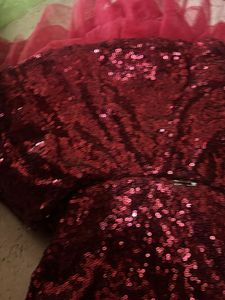 Sparkling Sequin Lehenga Choli