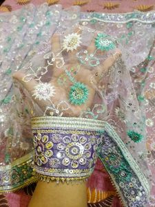 Embroidered Saree with Sequins