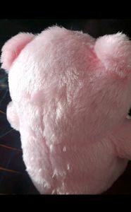 🧸 New teddy bear 🧸