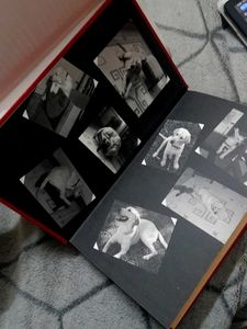 Marley &amp; Me by John Grogan HARDCOVER