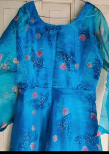 Trending Organza Kurta Set