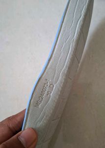 Nike Men SB Check Solarsoft Canvas orignal