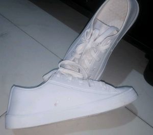 Classic White Canvas Sneakers 🤍