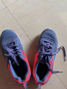 Sketchers Brand Shoes In Very Good Condition