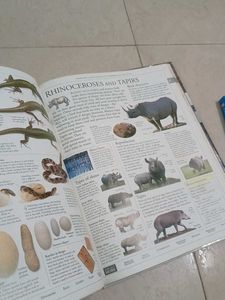 DK Illustrated Family Encyclopedia Vol 12