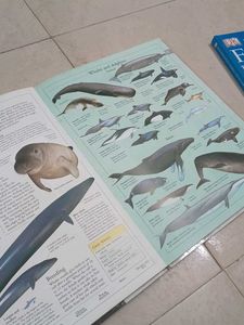 DK Illustrated Family Encyclopedia Vol 15 U-Z
