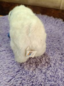 Adorable Zoo Hannover Polar Bear Plush