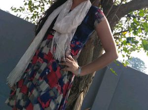 Colorful Casual Dress (Size- L)