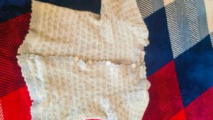 5 sweaters /top